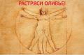 Растряси Оливье! 2017