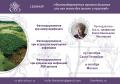 Кликните чтобы увеличить Е.Е.ЛЕСИОВСКАЯ, СЕМИНАР