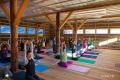 Ежедневные семинары по хатха йоге для начинающих и опытных