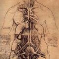 Нормальная анатомия и физиология с точки зрения Аюрведы