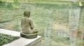 Основы трансцендентальной медитации. Онлайн-лекция